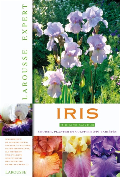 Iris : choisir, planter et cultiver 340 variétés