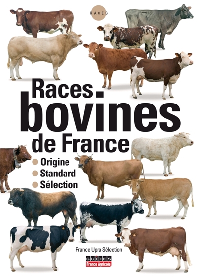 Races bovines de France : origine, standard, sélection : guides