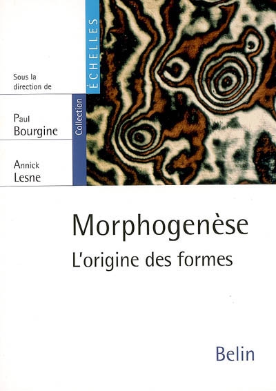 Morphogénèse : l'origine des formes