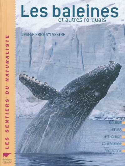 Les baleines et autres rorquals
