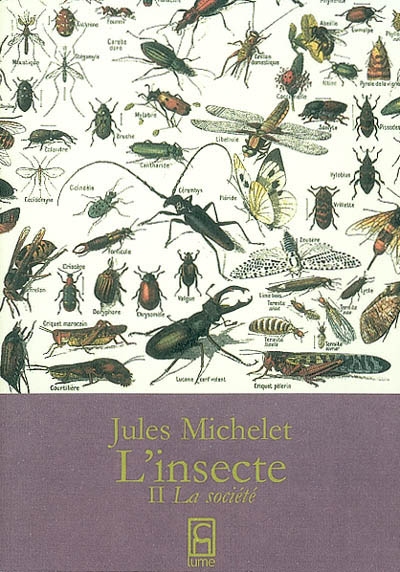 L'insecte. 2 , La société