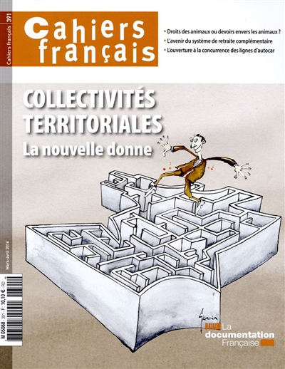 Cahiers français : Collectivités territoriales - n°391 La nouvelle donne 