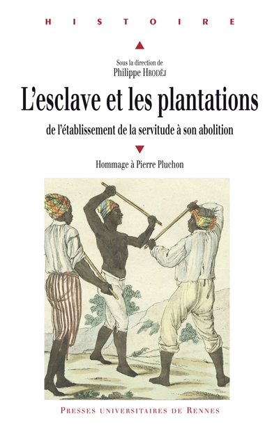 L'esclave et les plantations