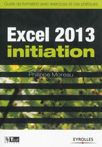 Excel 2013 - Initiation : Guide de formation avec exercices et cas pratiques