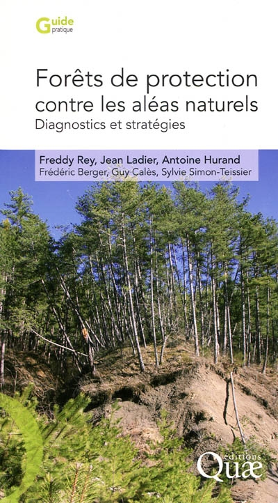 Forêts de protection contre les aléas naturels : Diagnostics et statégies