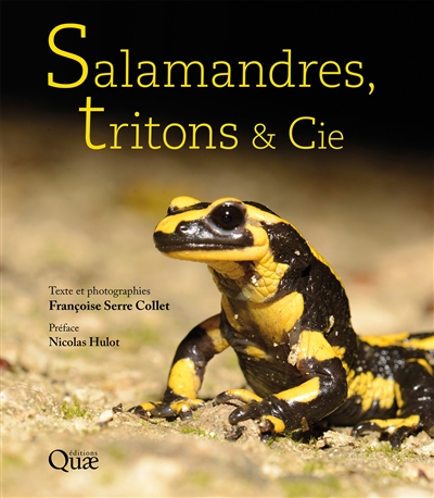 Salamandres, tritons & cie Ed. 1
