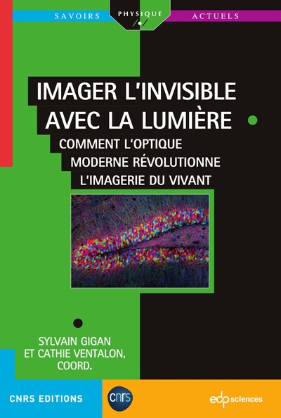 Imager l'invisible avec la lumière : Comment l’optique moderne révolutionne l’imagerie du vivant