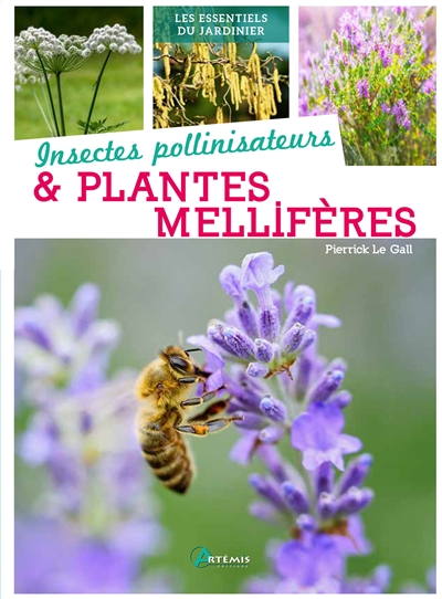 Insectes pollinisateurs& plantes mellifères