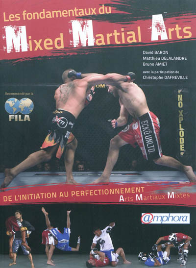 Les fondamentaux du Mixed Martial Art (MMA) : De l’initiation au perfectionnement