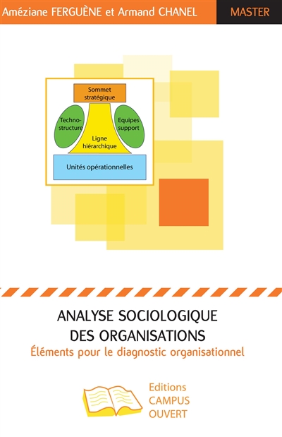 Analyse sociologique des organisations : Elements pour le diagnostic organisationnel