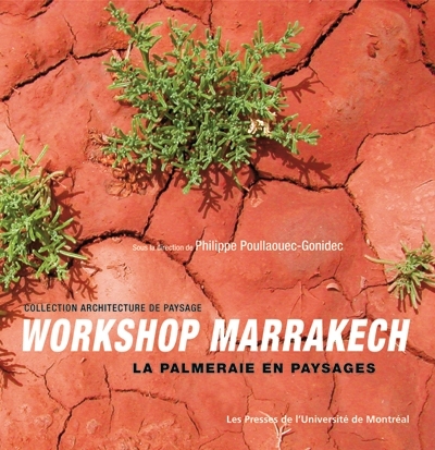 Workshop Marrakech. La palmeraie en paysages