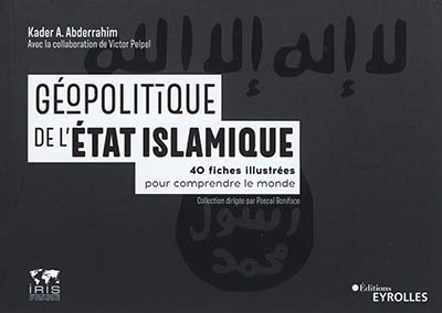 Géopolitique de l'état islamique : 40 fiches illustrées pour comprendre le monde Ed. 1