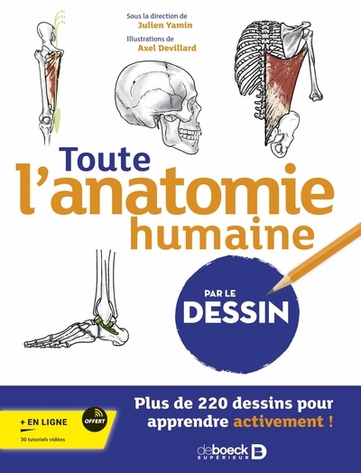 Toute l’anatomie humaine par le dessin : Plus de 220 dessins pour apprendre activement !