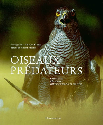 Oiseaux prédateurs : chasseurs, pêcheurs, charognards et pirates