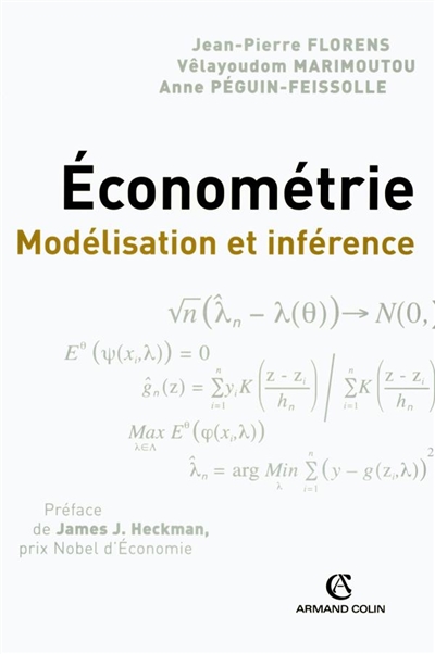 Économétrie : modélisation et inférence
