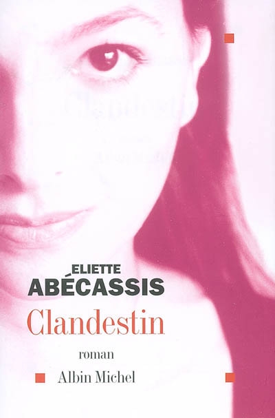 Clandestin : roman