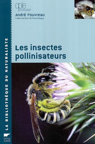 Les insectes pollinisateurs