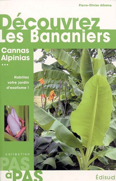 Découvrez les bananiers et leurs cousins : cannas, alpinias... : habillez votre jardin d'exotisme !