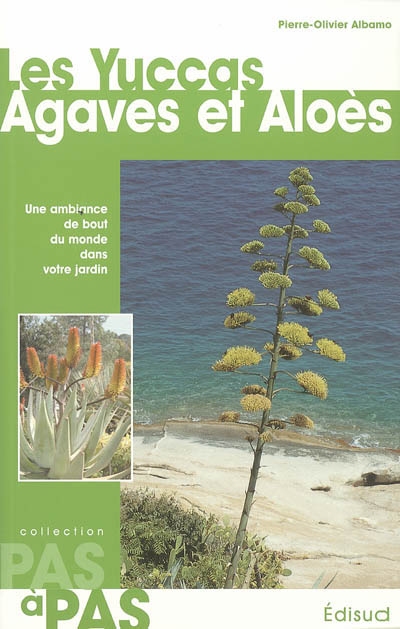 Les Yuccas, agaves et aloès : une ambiance du bout du monde dans votre jardin.
