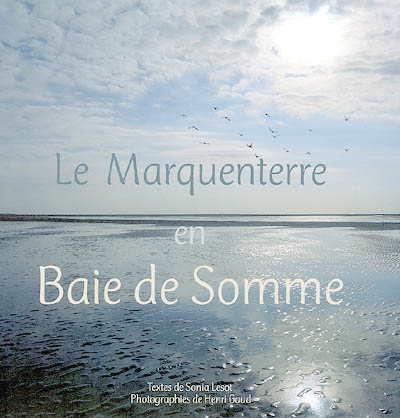 Le Marquenterre en baie de Somme : une réserve naturelle et un parc ornithologique entre terre et mer