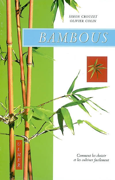 Bambous : comment les choisir et les cultiver facilement