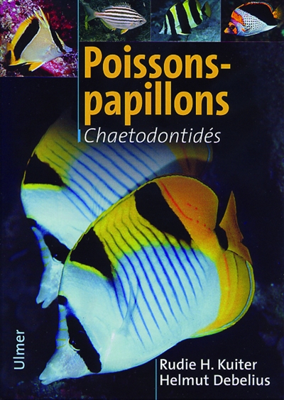Poissons-papillons : guide illustré des Chaetodontidés