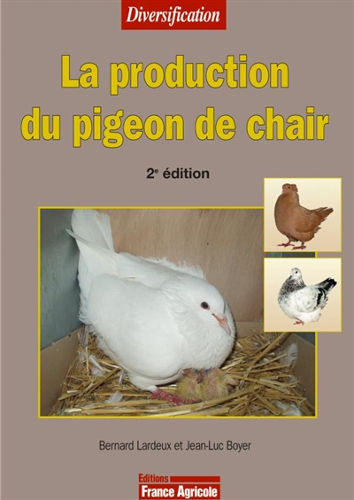 Production du pigeon de chair