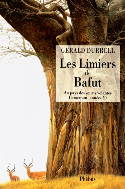 Les limiers de Bafut : au pays des souris volantes, Cameroun, années 50
