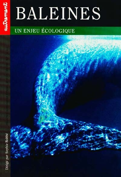 Baleines : un enjeu écologique