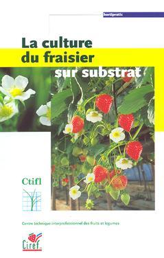 La culture du fraisier sur substrat
