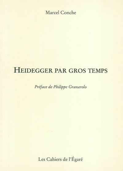Heidegger par gros temps