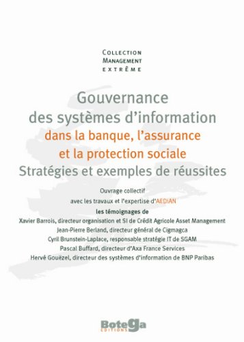 Gouvernance des systèmes d'information dans la banque, l'assurance et la protection sociale : stratégies et exemples de réussites
