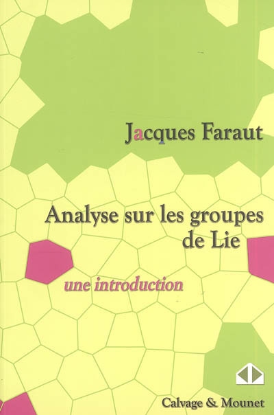 Analyse sur les groupes de Lie : une introduction