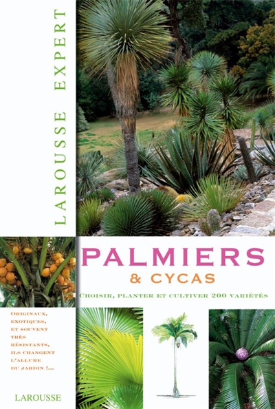 Palmiers & cycas : choisir, planter et cultivez 200 variétés
