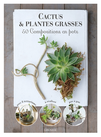 Cactus et plantes grasses : 50 compositions en pot : mettez votre intérieur au vert