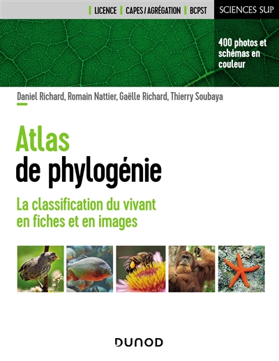 Atlas de phylogénie : la classification du vivant en fiches et en images