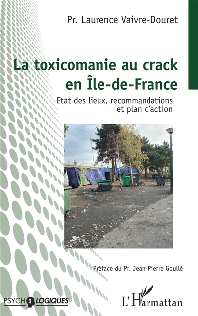 La toxicomanie au crack en île de France : état des lieux, recommandations et plan d'action
