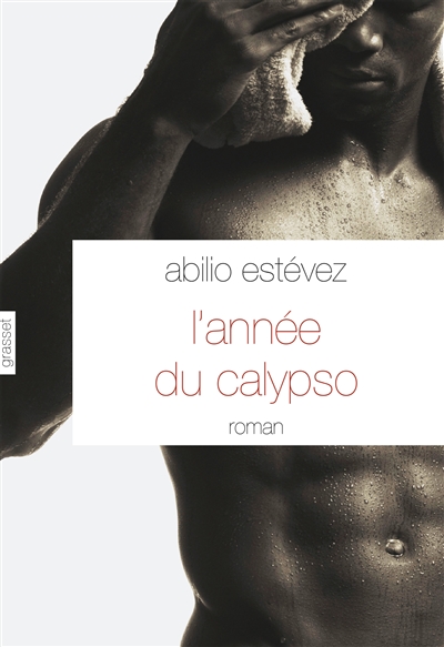 L'année du calypso : roman