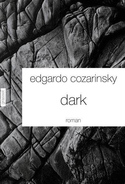Dark : roman