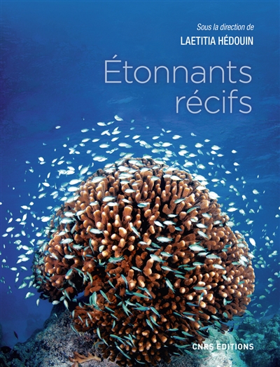 Etonnants récifs : les écosystèmes coralliens