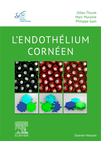L'endothélium cornéen : rapport 2020