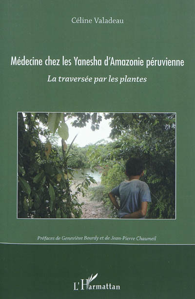 Médecine chez les Yanesha d'Amazonie péruvienne : la traversée par les plantes