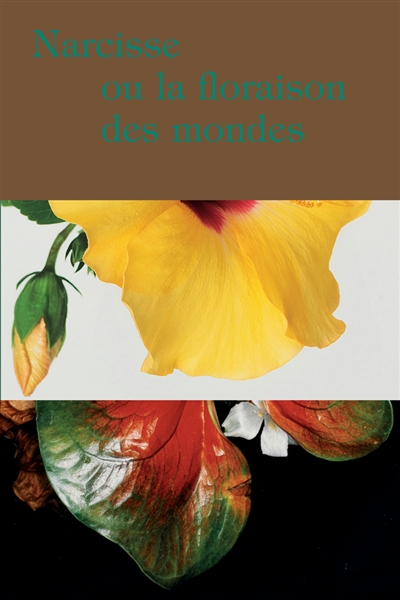 Narcisse ou La floraison des mondes : [exposition, Bordeaux, Frac Nouvelle-Aquitaine MÉCA, 7 décembre 2019-21 mars 2020]