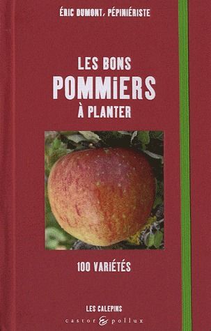 Les bons pommiers à planter : 100 variétés