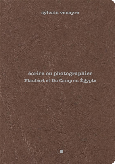 Écrire ou photographier : Flaubert et Du Camp en Égypte...