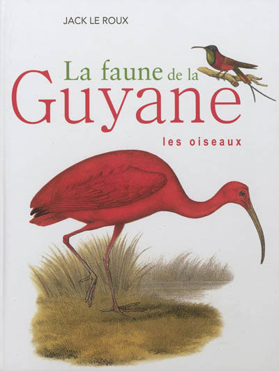 La faune de la Guyane : les oiseaux