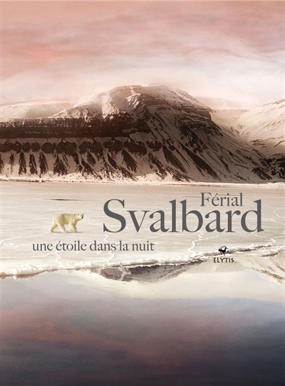 Svalbard : une étoile dans la nuit