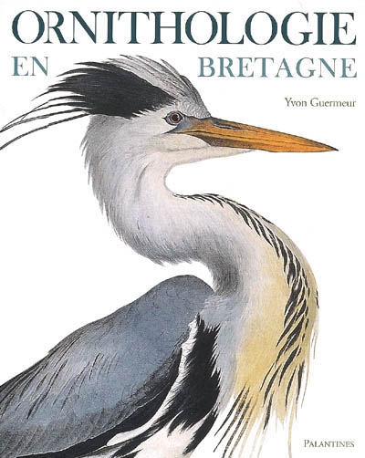 Ornithologie de Bretagne