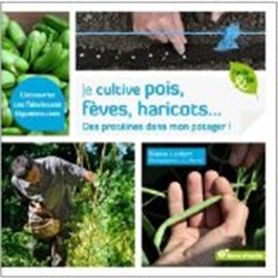 Je cultive pois, fèves, haricots : des protéines dans mon potager !