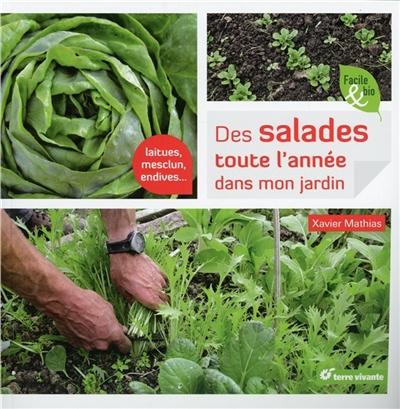 Des salades toute l'année dans mon jardin